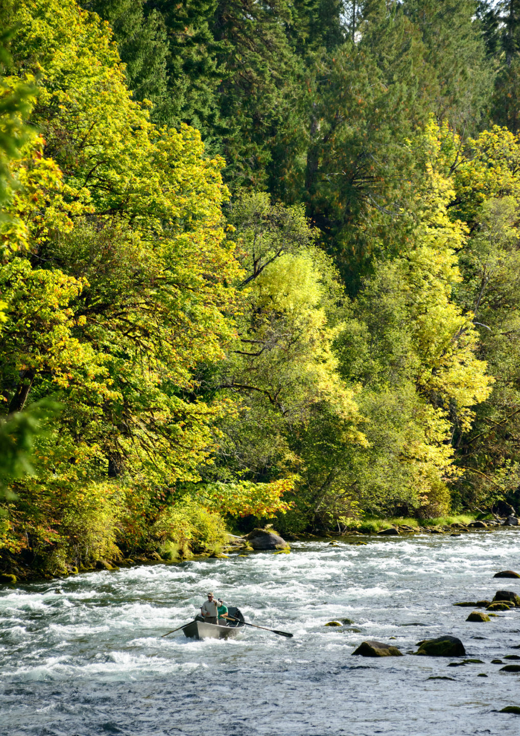 Fishing the McKenzie River at Finn Rock Reach, Photo by Tim Giraudier, Beautiful Oregon