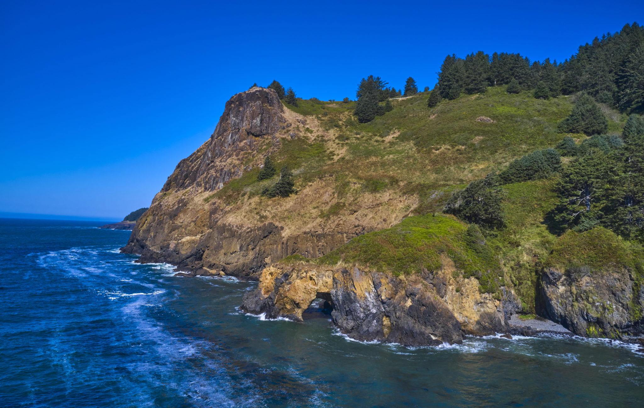 Cape Foulweather - McKenzie River Trust | Protecting Lands in Western ...