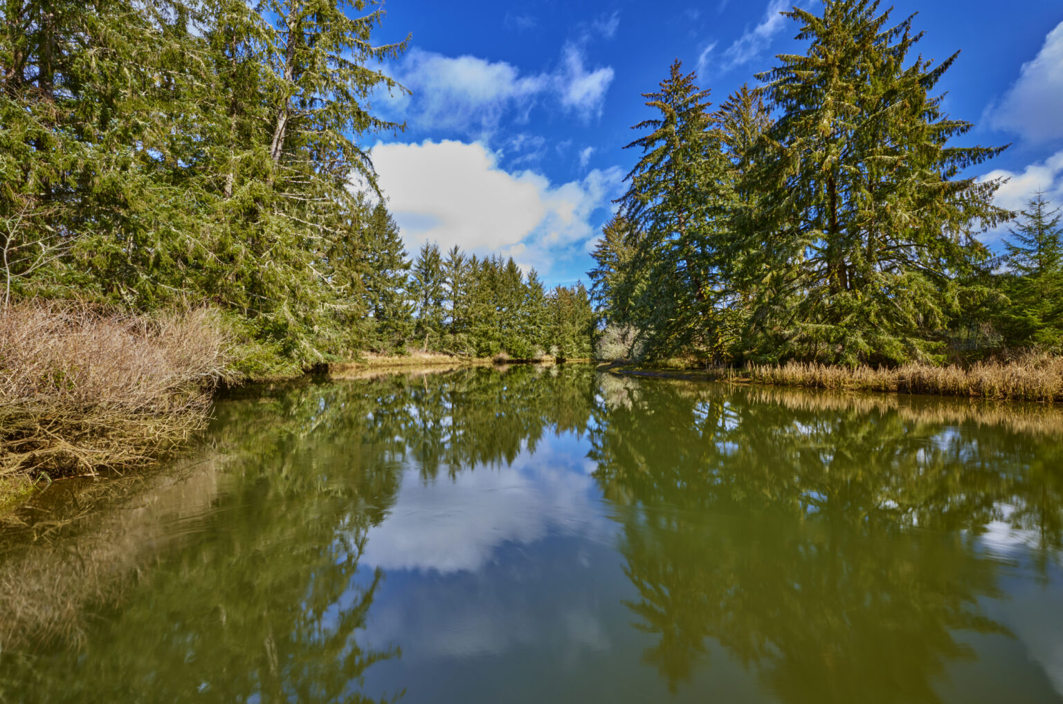 History Shapes a New Future for the Siuslaw River Estuary - McKenzie ...