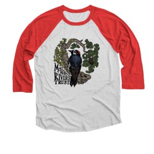 Acorn Woodpecker Baseball Tee