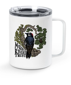 Acorn Woodpecker Mug