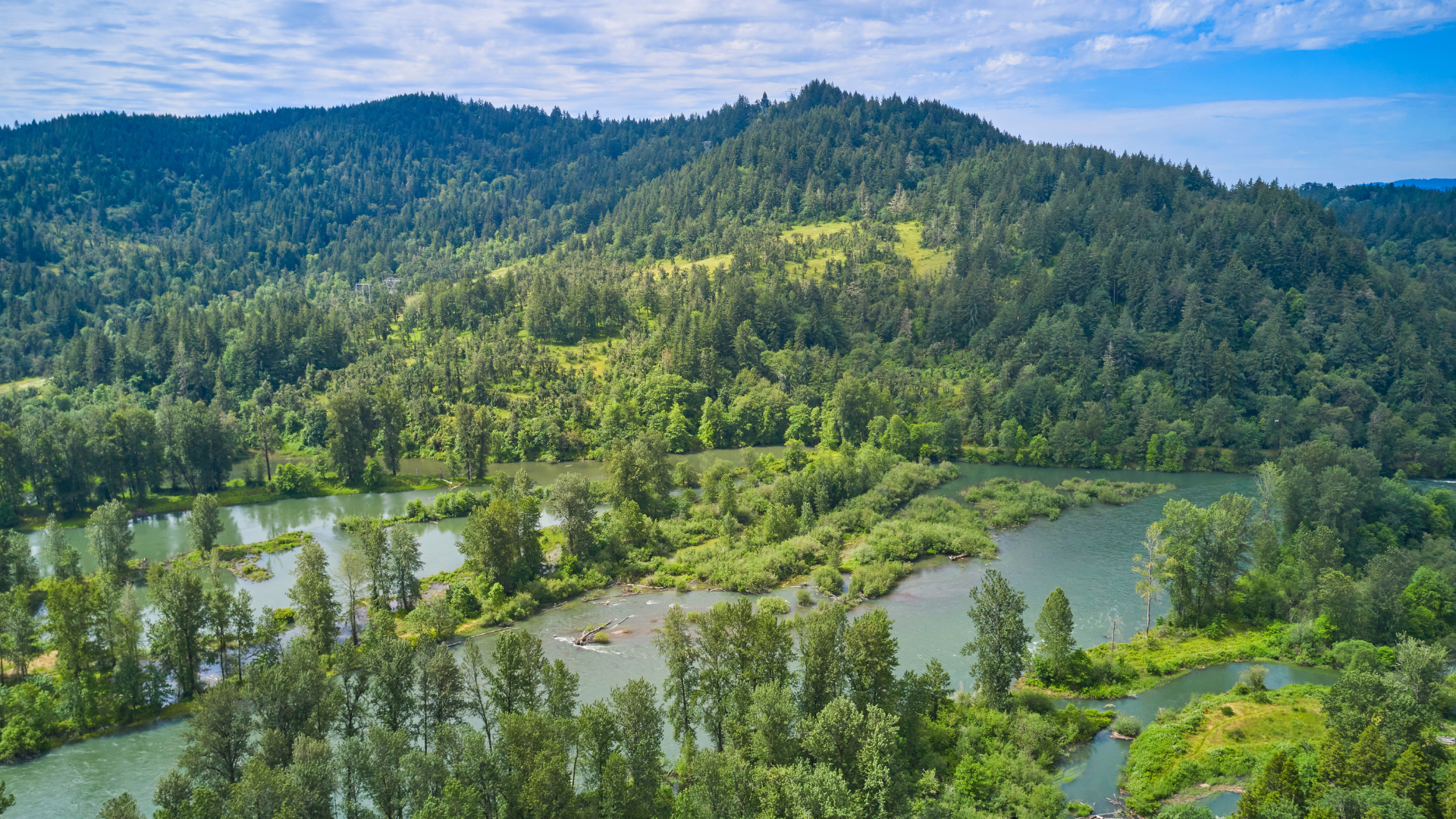 The view looks across the Middle Fork Willamette River from the Clear Water bike path. The Willamette Confluence property is in the foreground flowing up to Mt. Pisgah.