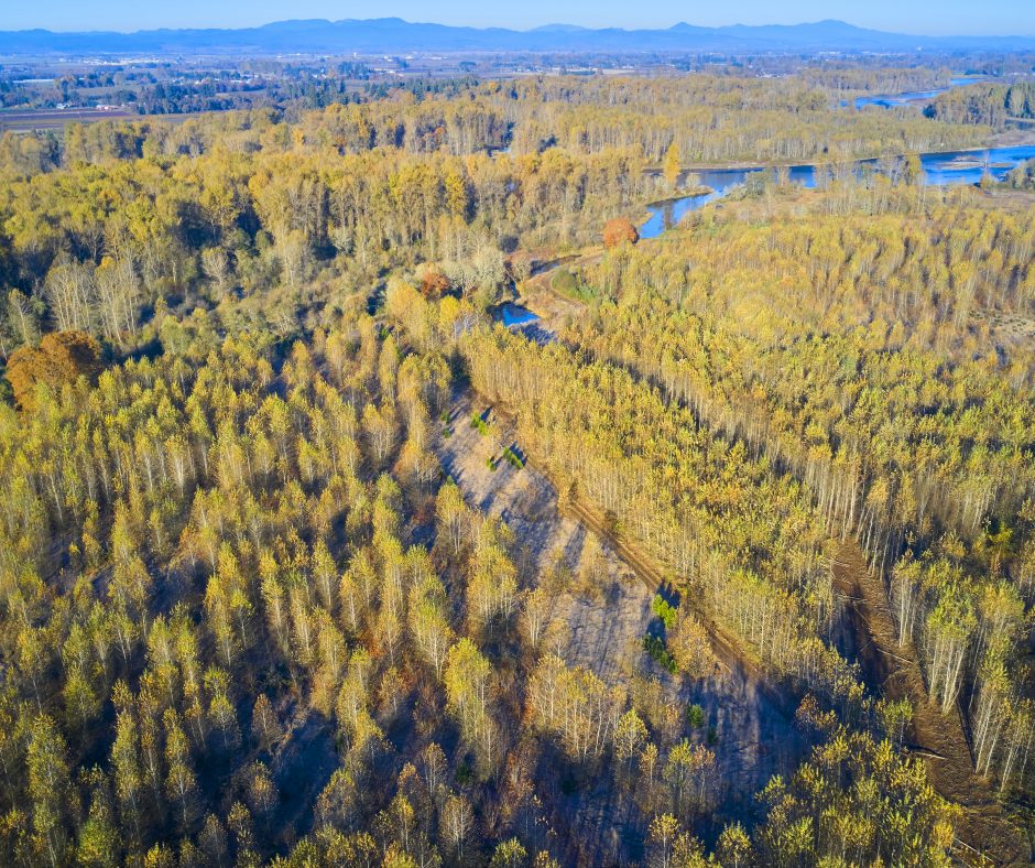 DJI_0821